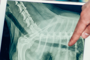 Digital X-ray machine repair